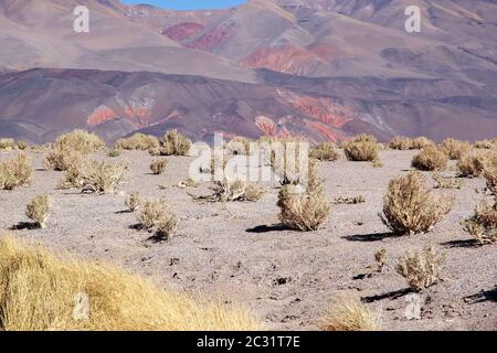 Landschaft am Geyser Ojos del Campo am Salar von Antofalla an der Puna de Atacama, Argentinien. Antofalla liegt in der Antofagasta de La Sierra dep Stockfoto