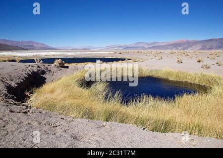 Geyser Ojos del Campo am Salar von Antofalla in der Puna de Atacama, Argentinien. Antofalla liegt in der Antofagasta de La Sierra Abteilung des No Stockfoto