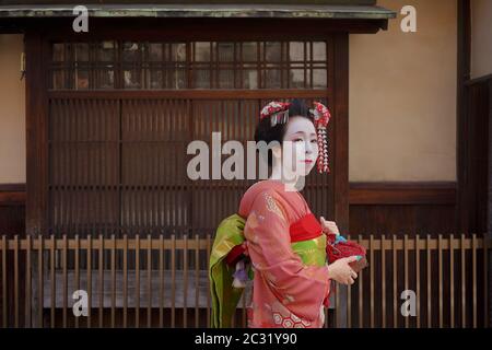 Maiko in einem Kimono vor dem Tor ein traditionelles japanisches Haus in Kyoto. Stockfoto