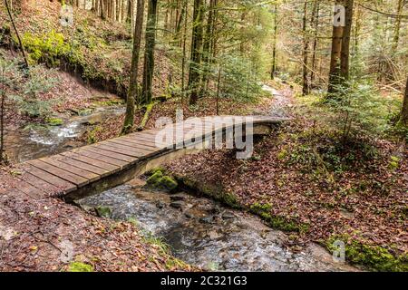 Kleine Brücke über den Bach entlang des Canyons mitten im grünen Wald Stockfoto