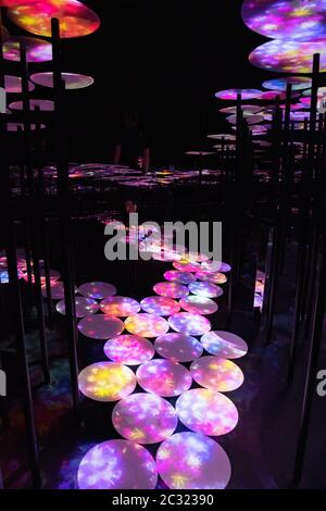 Menschen, die die Erinnerung an die Topographie erkunden und genießen von teamLab im Mori Building, Odaiba, Tokio, Japan. Stockfoto