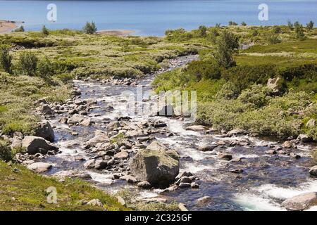 Schöne Storebottåne River fließt in die vavatn See. Sommer Landschaft in Hemsedal, Buskerud, Norwegen. Stockfoto