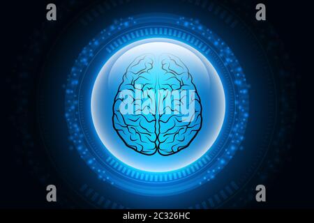 Menschliche Gehirn Struktur Stockfoto