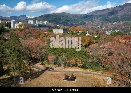 Berghänge im Herbst. Hakone. Kanagawa. Japan Stockfoto