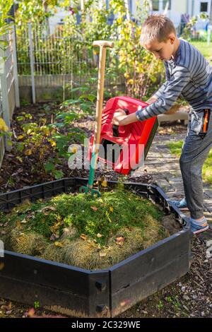 Kind hilft im Garten - Hinzufügen von Rasenschnitt in Kompostierbehälter Stockfoto