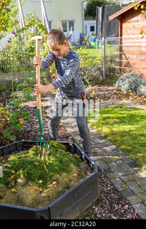 Kind hilft im Garten - Hinzufügen von Rasenschnitt in Kompostierbehälter Stockfoto