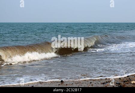 Wellen brechen am Strand mit Stücken von Algen in der Welle und mit Blick auf das Meer bis zum Horizont mit einem blauen Himmel und den Strand im Vordergrund. Stockfoto