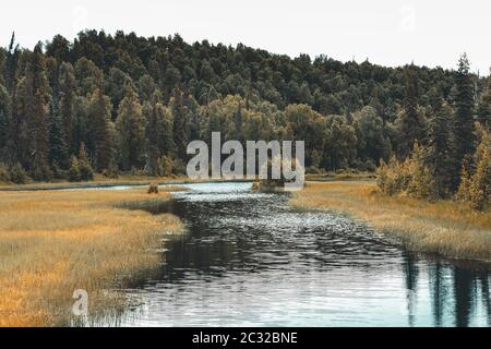 Fluss schlängelt sich durch eine Wiese zu einem Wald in Alaska im frühen Herbst Stockfoto