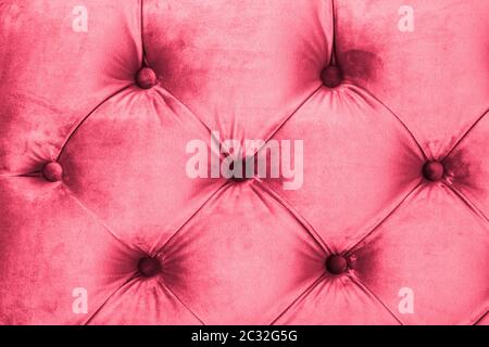 Rosa Luxus Velours gesteppte Sofa Polsterung mit Knöpfen, elegante Wohnkultur Textur und Hintergrund Stockfoto
