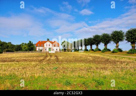 Eine alte Villa mit einer Lindenallee auf der Insel Poel in Deutschland Stockfoto