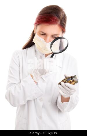 Junge Tierärztin in weißem Labormantel, chirurgischer Maske und Latexhandschuhen, Untersuchung einer Schildkröte mit Lupe, isoliert auf weißem Hintergrund. Stockfoto