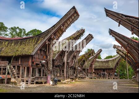 Tongkonan Häuser, traditionelle Toraja Gebäude, Tana Toraja, Sulawesi, Indonesien Stockfoto