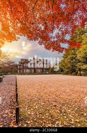 Sonnenuntergang im Tokyo Metropolitan Park KyuFurukawas altes Herrenhaus im westlichen Stil am roten Ahorn Momiji verlässt die Saison im Herbst. Stockfoto