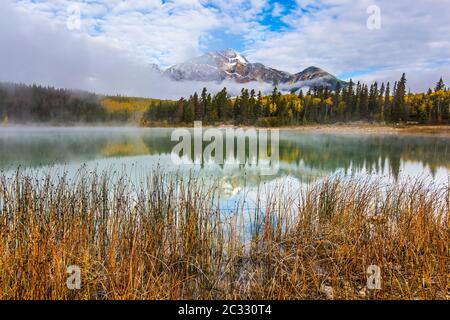 Patricia Lake spiegelt den Pyramid Mountain Stockfoto