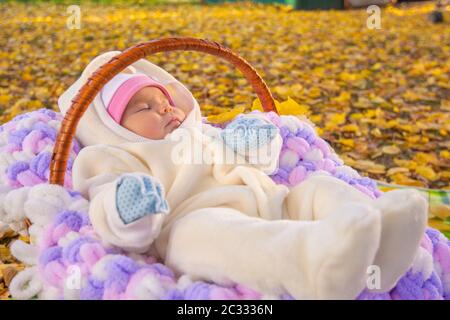 Baby schläft im Herbstpark im Korb Stockfoto