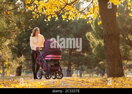 Mädchen mit Kinderwagen und neugeborenem Baby spazieren in einem schönen Park Stockfoto