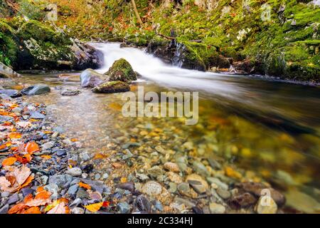 Kaskaden auf einem Bergbach mit moosigen Felsen im Tollymore Forest Park Stockfoto