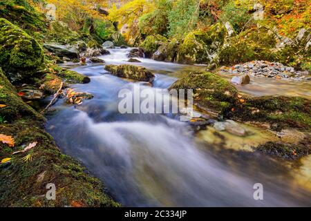 Kaskaden auf einem Bergbach mit moosigen Felsen im Tollymore Forest Park Stockfoto