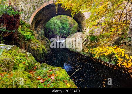 Kaskade unter Brücke auf Bergbach, zwischen moosigen Felsen im Tollymore Forest Park Stockfoto