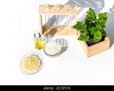 Gelbe Kosmetikfarbe (Öl), mikrokristallines Wachs und Candelilla Wax. Chemikalien für die Schönheitspflege schön in einem weißen Hintergrund angeordnet. Stockfoto