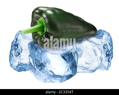 Oder Poblano Ancho Chile Pfeffer Einfrieren auf grobem Crushed Ice Stockfoto