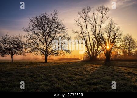 Sonnenaufgang über den Streuobstwiesen im Kahlgrund Stockfoto