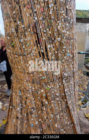 Paris, Frankreich - September 2017: Friedhof Paris - Pere-Lachaise. Fans kleben Kaugummi in der Hommage an Morrison auf den Baum in der Nähe seines Grabes Stockfoto