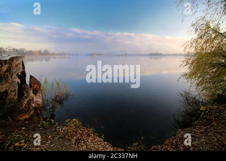Am Ufer des Erlich-Sees bei Oberhausen-Rheinhausen Stockfoto
