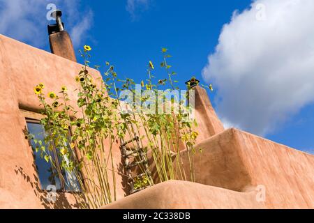 Das Pink Adobe Restaurant, Santa Fe, New Mexico, USA Stockfoto