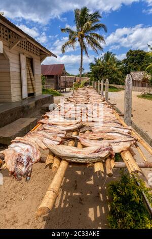 Trocknender Fisch in der Sonne auf dem kleinen Dorf in Masoala, Madagaskar. Stockfoto