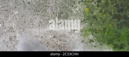 Breite verwitterte Betonwand mit grünem Moos nützlich als Hintergrund Stockfoto