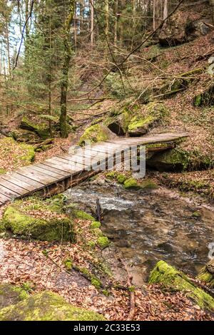 Kleine Brücke über den Bach entlang des Canyons mitten im grünen Wald Stockfoto