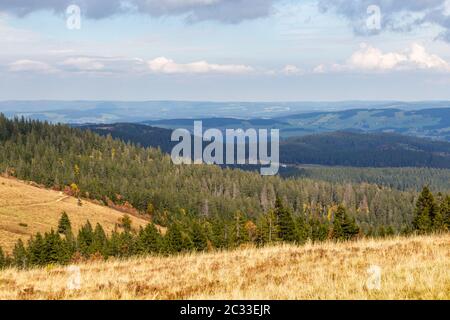 Blick vom Feldbergturm auf die Landschaft des Schwarzwaldes im Herbst Stockfoto