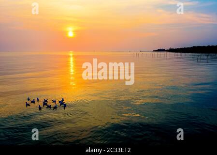 Rammstein Vögel schwimmen im Meer, die helle Sonne auf der Orange, Gelb bunte Himmel Sonnenlicht reflektieren die Wasser, schöne Natur Landschaft Stockfoto