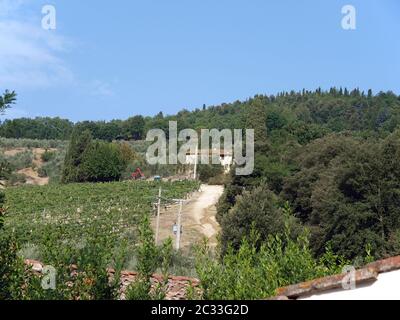 Villa in der Toskana, zwischen Weinbergen und Olivenhainen ein Stockfoto