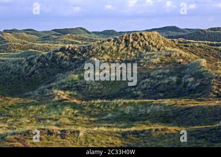 Dunescape im ersten Morgenlicht an der dänischen Nordseeküste Stockfoto