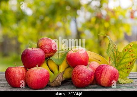 Früchte in Holztisch im Freien im Garten Stockfoto