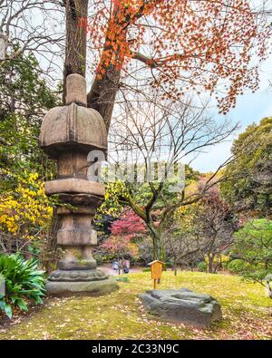 Tokyo Metropolitan Park KyuFurukawa der japanischen Garten Nuresagigata Stein Laterne mit Blick auf die Red maple momiji Blätter im Herbst. Stockfoto
