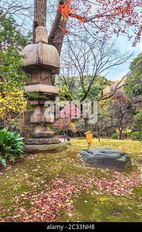 Tokyo Metropolitan Park KyuFurukawa der japanischen Garten Nuresagigata Stein Laterne mit Blick auf die Red maple momiji Blätter im Herbst. Stockfoto