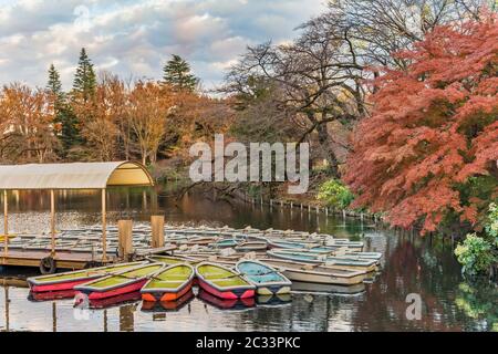 Eine Sammlung von Boote schwimmend im Teich von kichijoji Inokashira Park Stockfoto