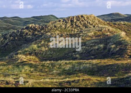 Dunescape im ersten Morgenlicht an der dänischen Nordseeküste Stockfoto