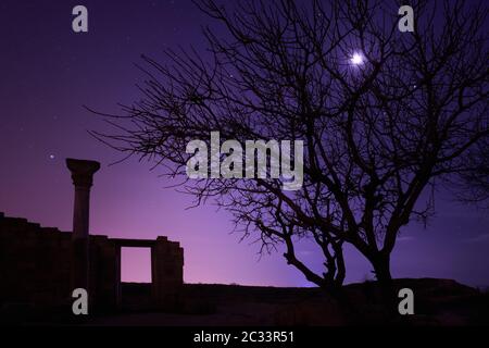 Einsamer Baum unter blauen Nachthimmel mit Mond und Sternen Stockfoto