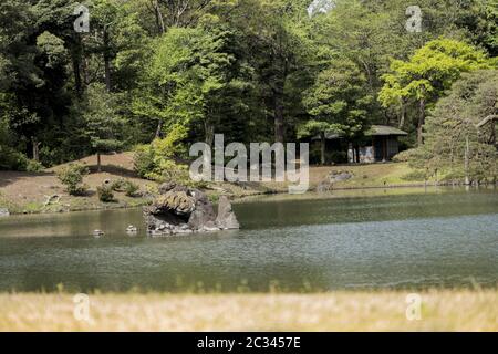 Schildkröten auf der Steininsel Houraijima am Teich des Rikugien Parks im Bunkyo Bezirk, nördlich von Toky Stockfoto