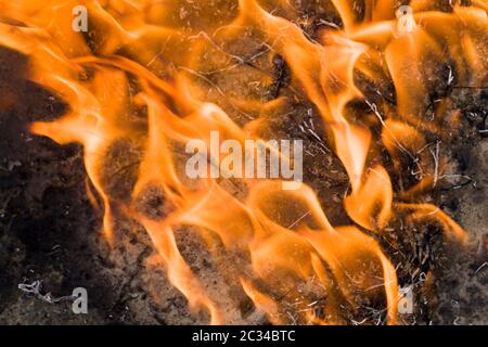 Orangefarbene helle und heiße Flammen aus dem Feuer, in dem die Baumstämme brennen Stockfoto