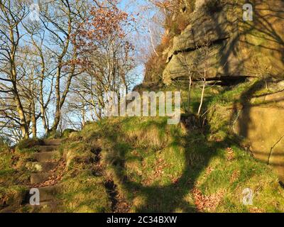 Ein schmaler Hangweg in einem hellen, sonnendurchfluteten Winterwald, umgeben von moosbedeckten Felsen und verdrehten Bäumen Stockfoto