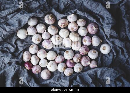 Solo garlics - einzelne Knoblauchzehen Stockfoto