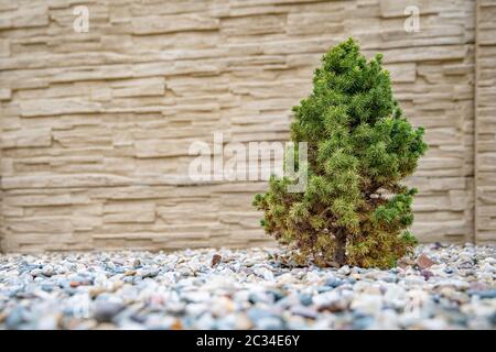 Betonwand in ein Dorf verwendet, Eigentum zu schützen Stockfoto