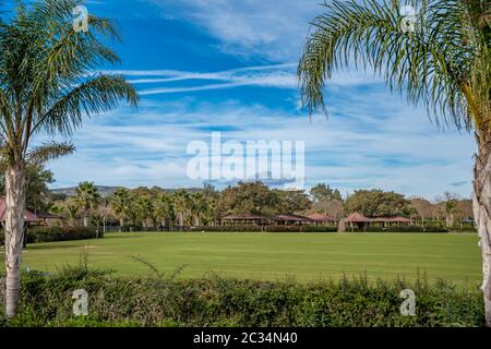 Rasen im tropischen Paradies mit Palmen im Vordergrund, Fußballplatz, Golfplatz. Kopierbereich. Stockfoto