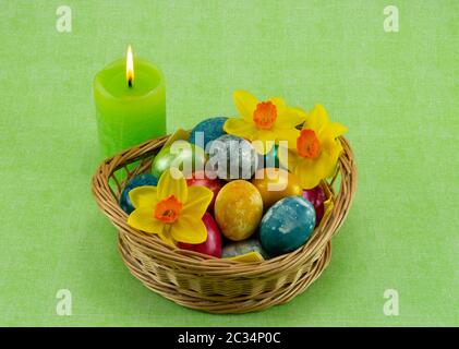 Ostern bemalte Eier in einem Korbkorb mit Moos, Narzissen und Kerze auf grünem Grund Stockfoto