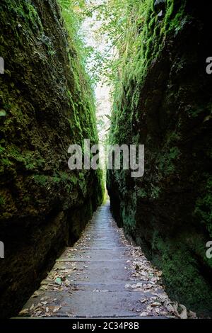 Wanderweg durch den Drachen Schlucht im Thüringer Wald in der Nähe von Eisenach Stockfoto